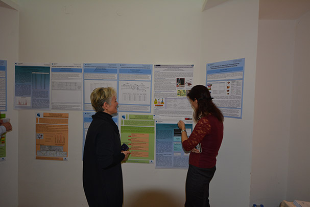 Conference Risk and safety engineering 2019